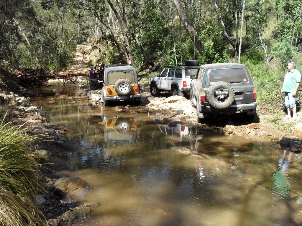 2nd wombat sState forest tree clearing, mineral Springs and Chocolate
