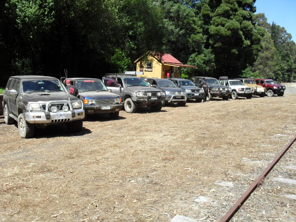 2nd wombat sState forest tree clearing, mineral Springs and Chocolate