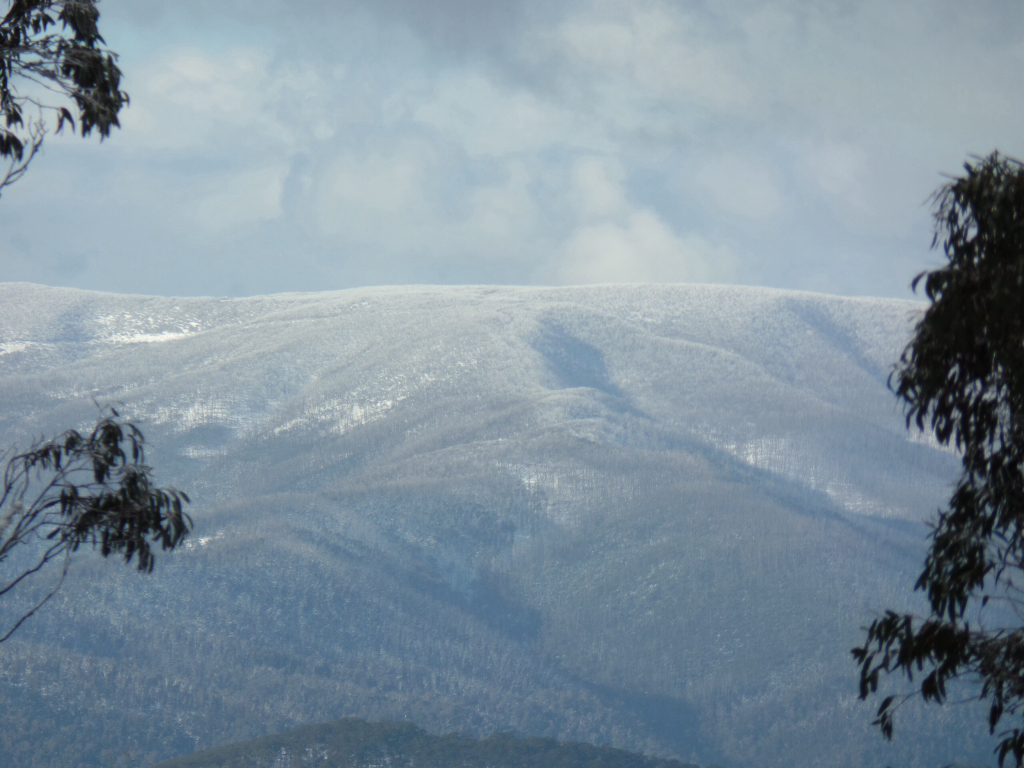 Mt Matlock 2 Aug 2014 4x4Earth