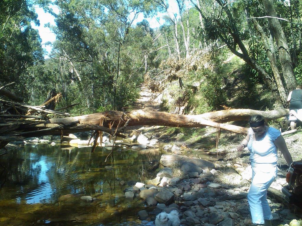 2nd Wombat State forest, mineral Springs and Chocolate Mill run. 4x4Earth