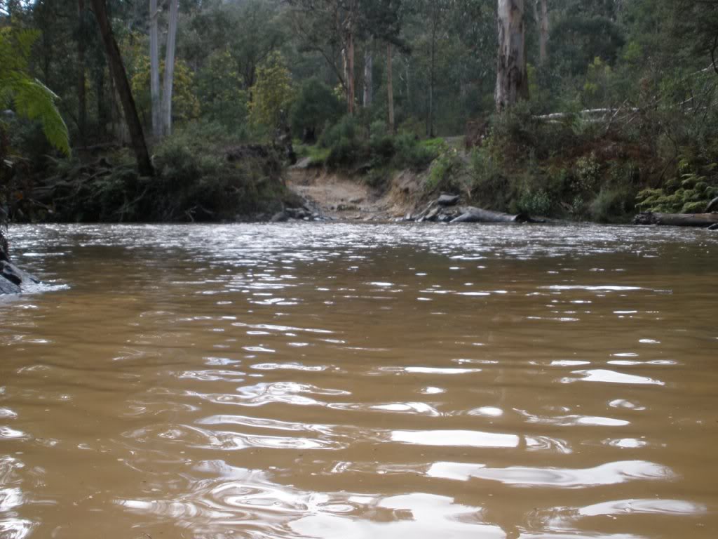 Russell Creek Road Area Fumina Weekend Trip 4x4Earth