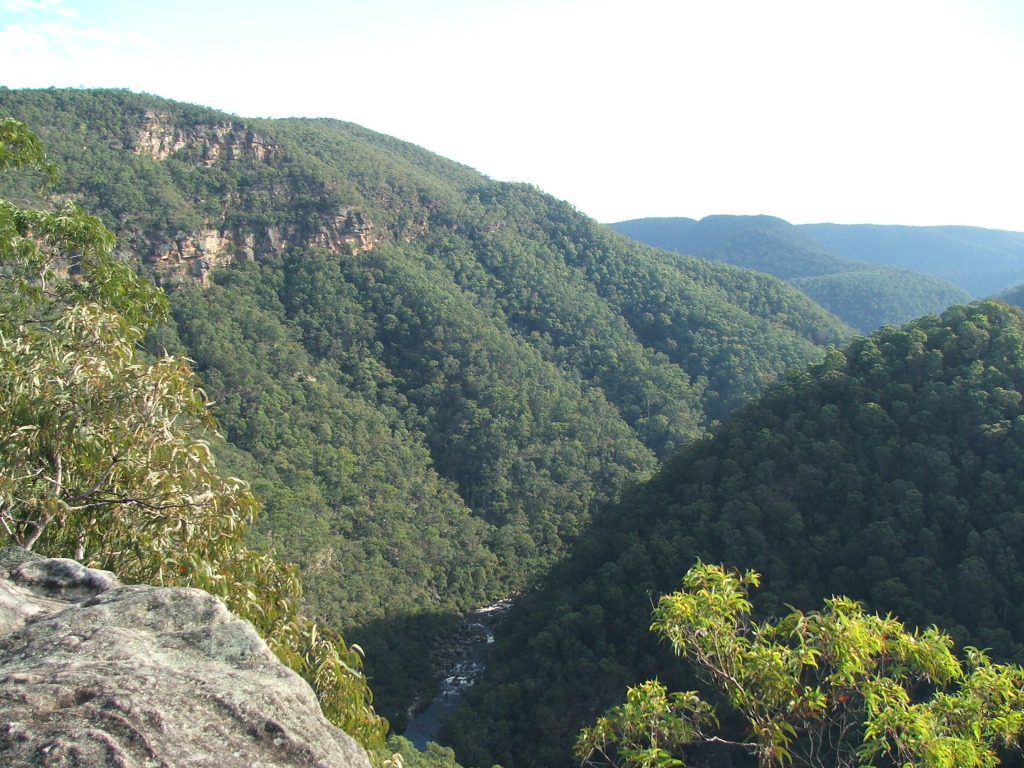 Cabbage Tree Road 4x4Earth