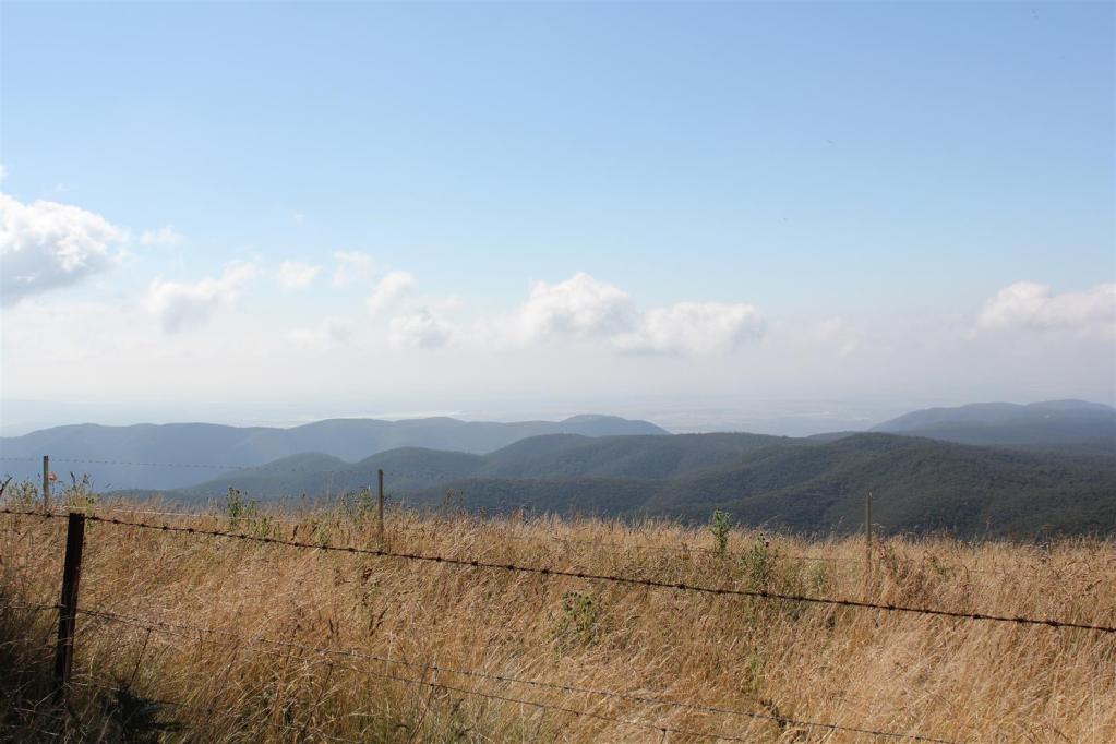 2nd Wombat State forest, mineral Springs and Chocolate Mill run. 4x4Earth