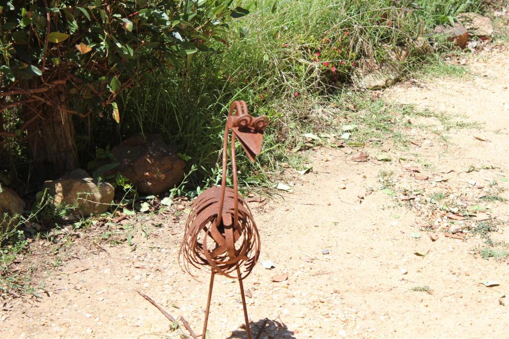 2nd Wombat State forest, mineral Springs and Chocolate Mill run. 4x4Earth
