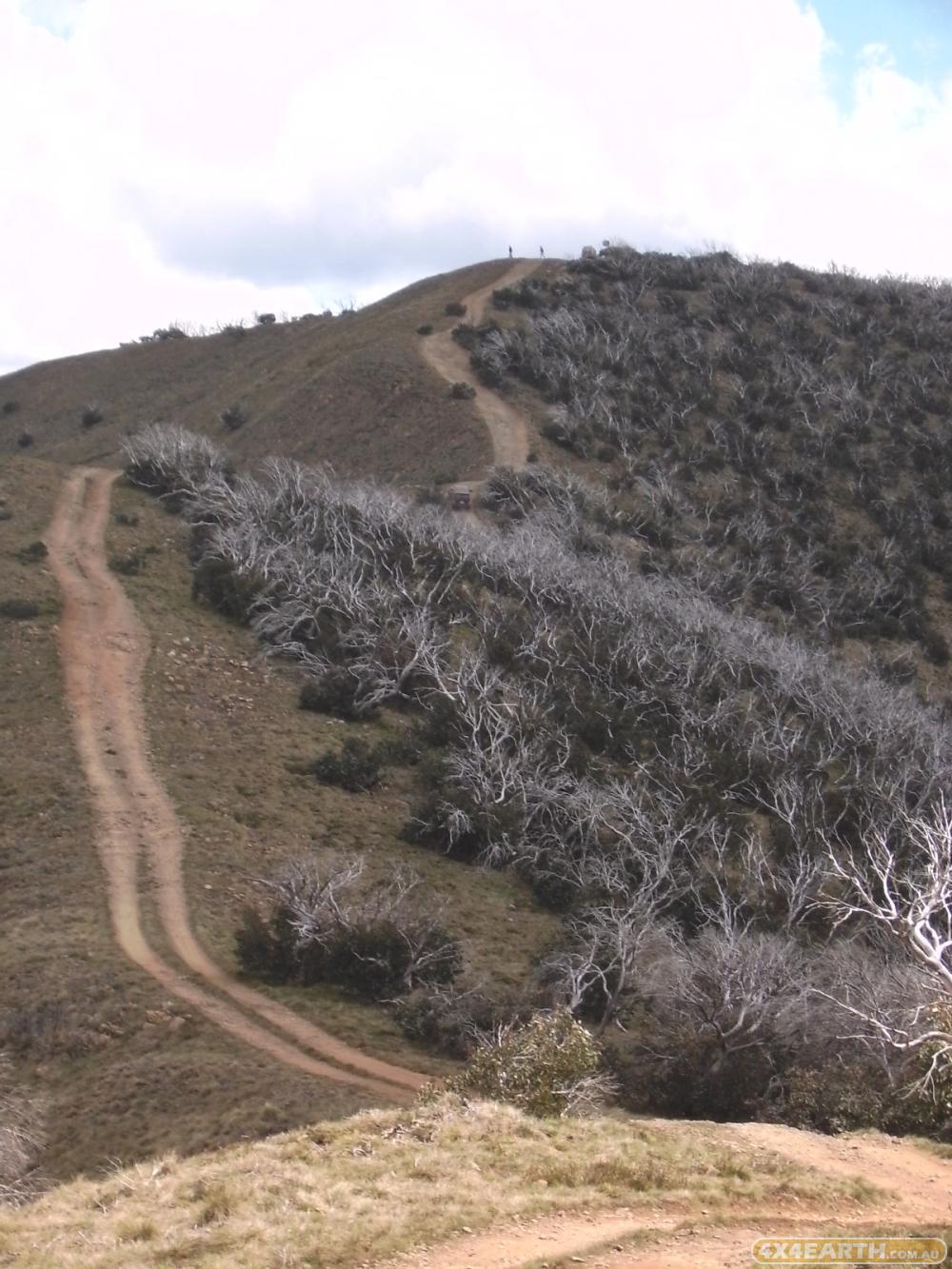 Blue Rag Range Track Victorian High Country