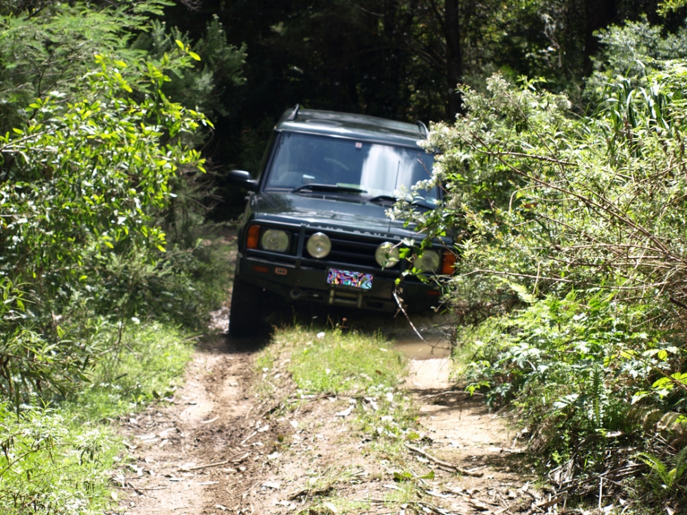 Federal Short Cut Road