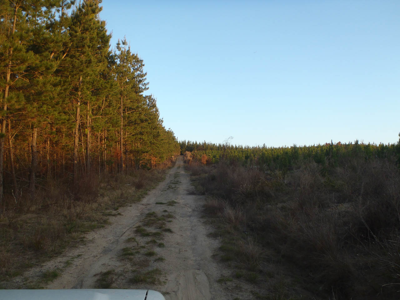 Penrose Penrose State Forest