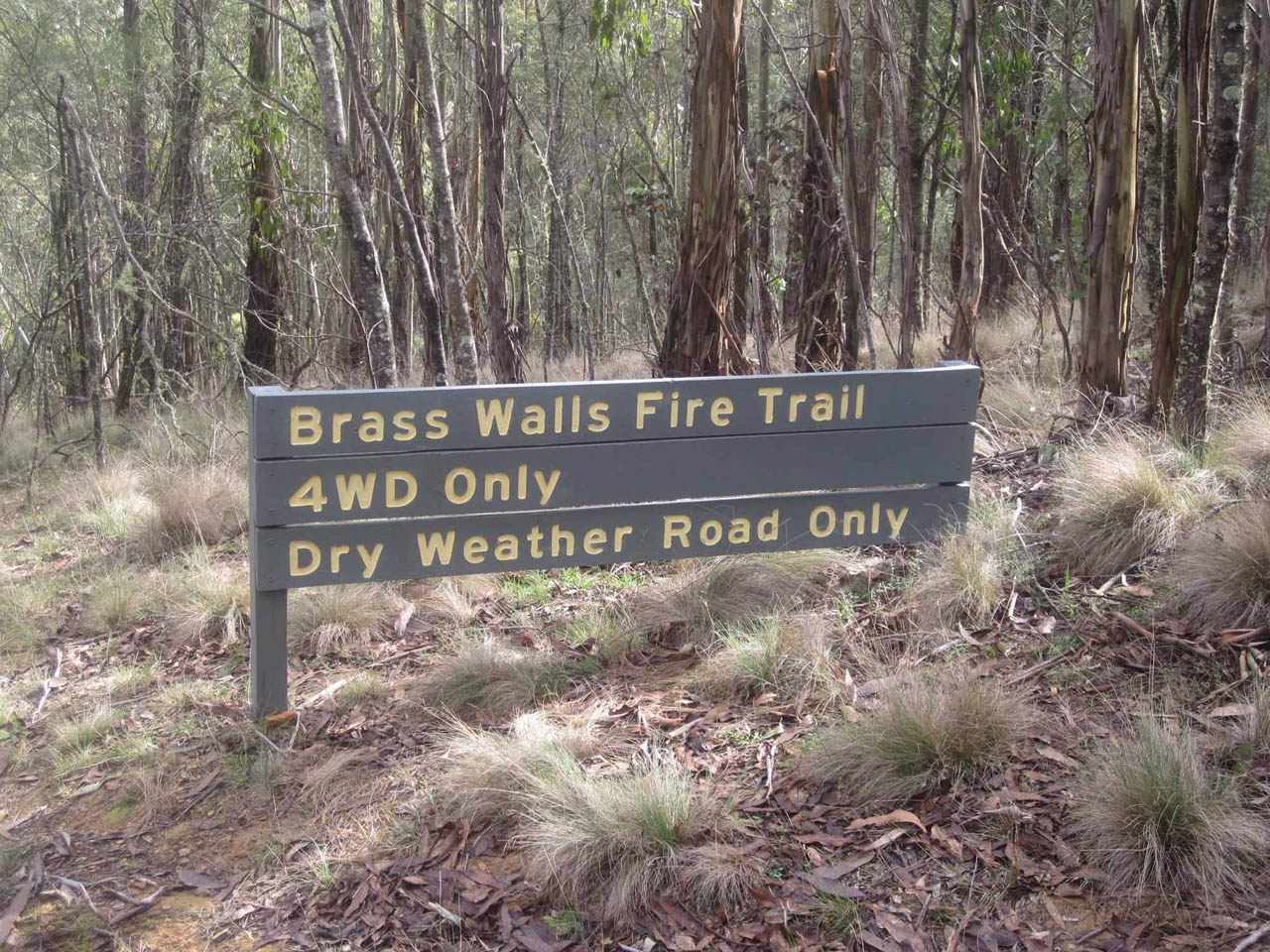 Abercrombie River National Park Eastern Entrance to Silent Creek Campsite
